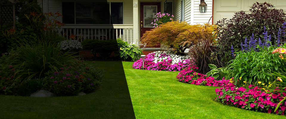Winterport Landscapers