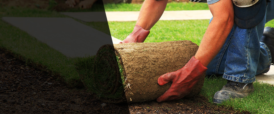 Winterport Landscapers